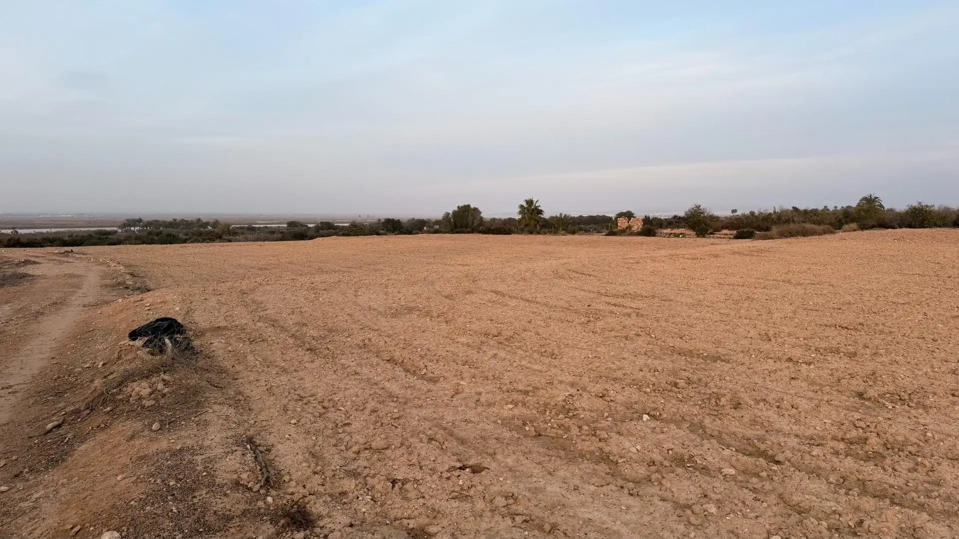 Terrain rustique à vendre à La Marina, imagen 20