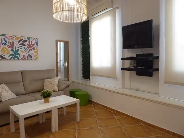 Sala de estar de Estudio de alquiler en Málaga con Aire acondicionado, Amueblado y Lavadora
