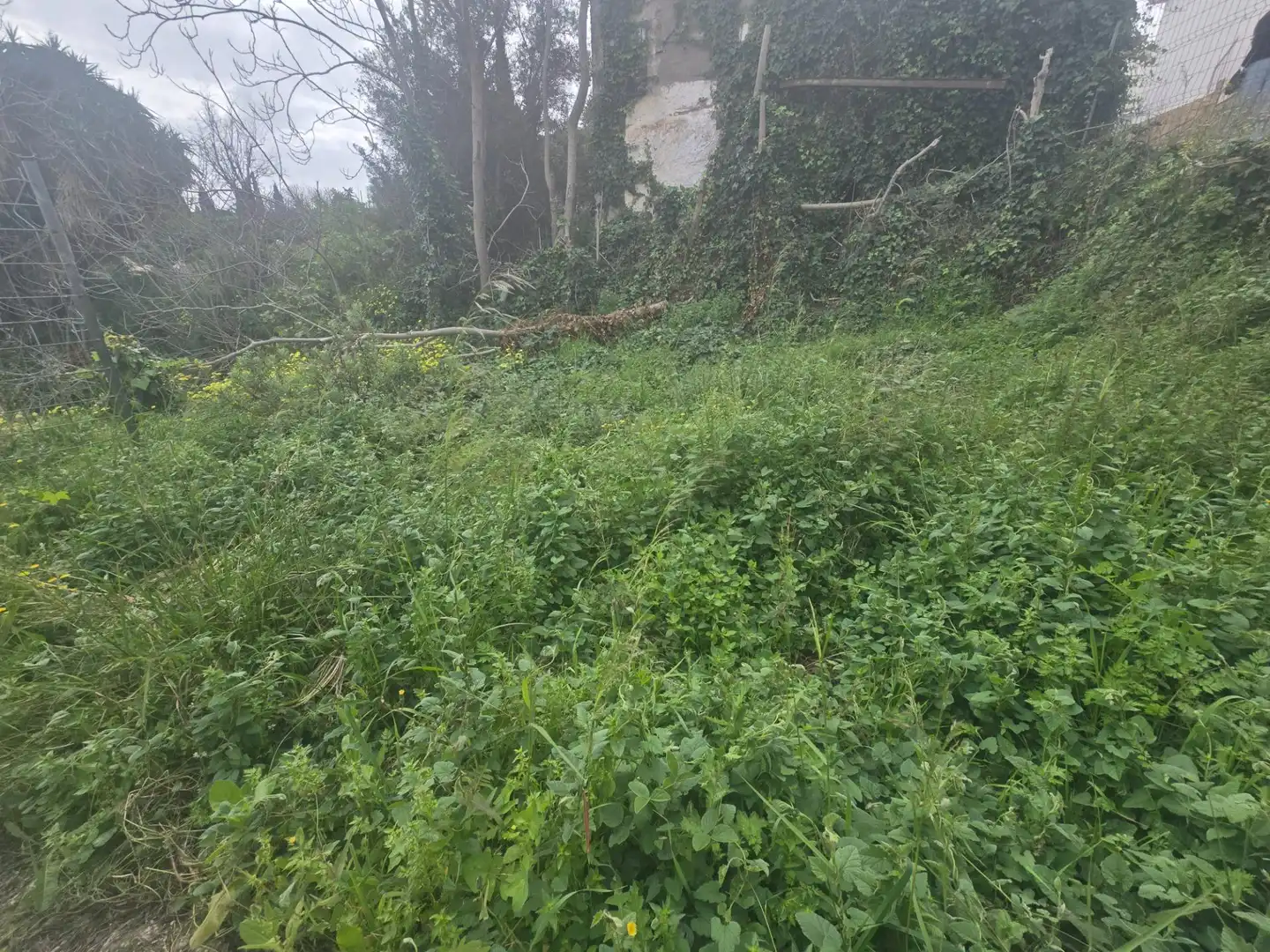 Terreni e lotti in vendita a Churriana