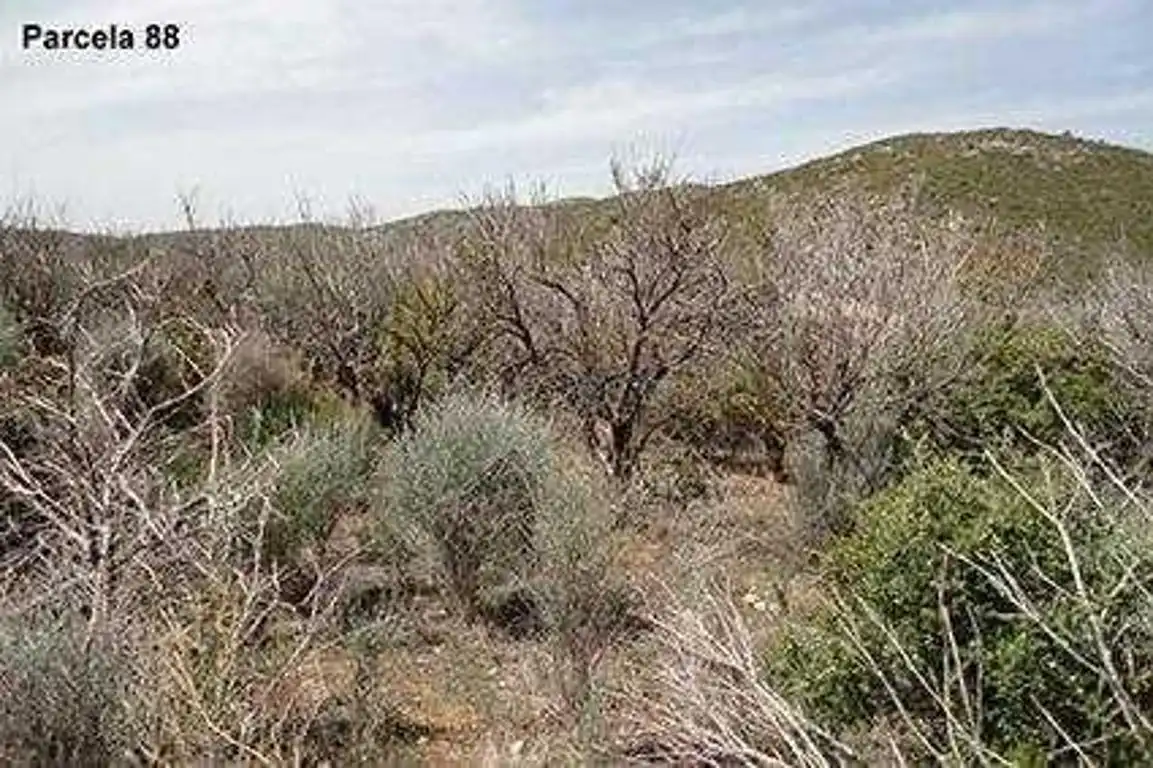 Terreno rustico in vendita a Cabanes, imagen 2