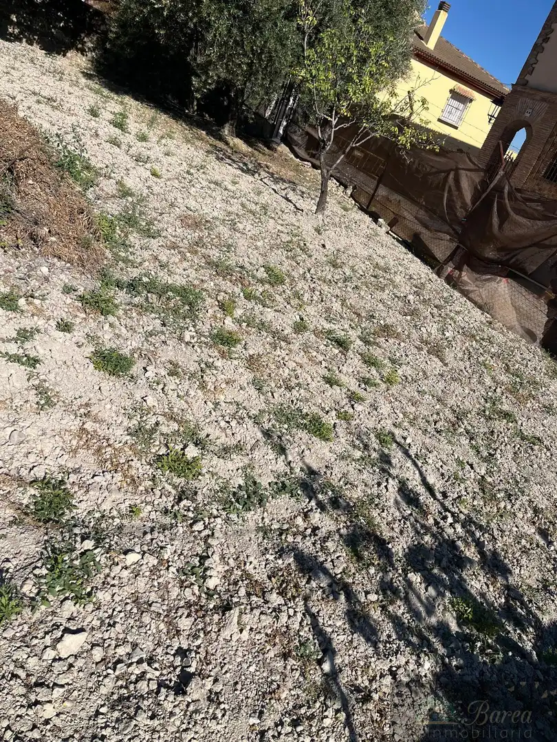 Finca rústica en venta en Rute