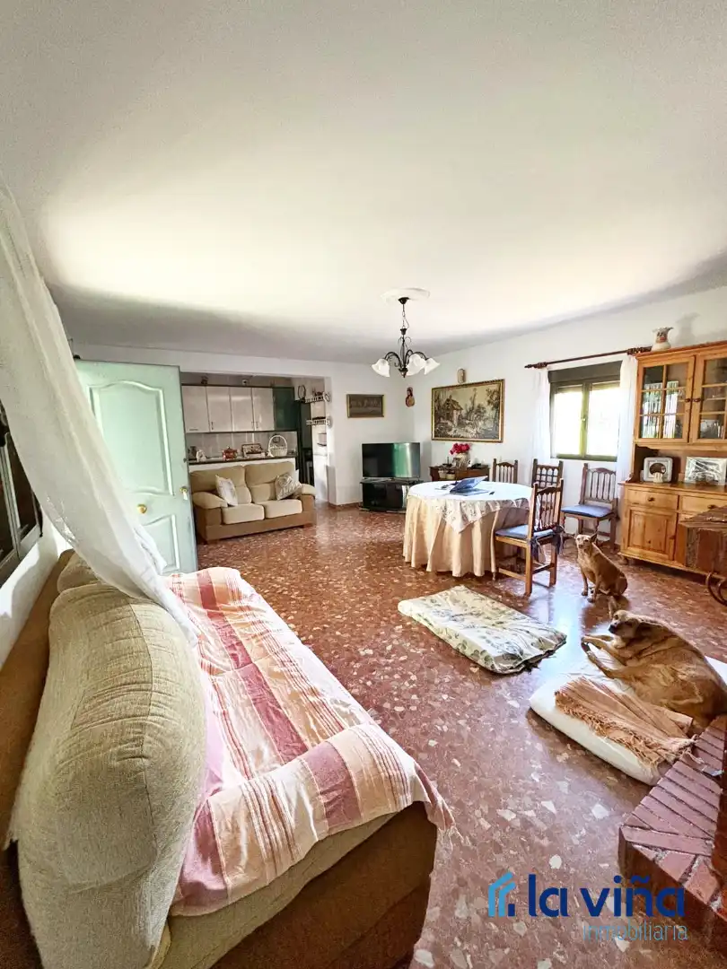 Terreny rústic en venda a Priego de Córdoba, imagen 14