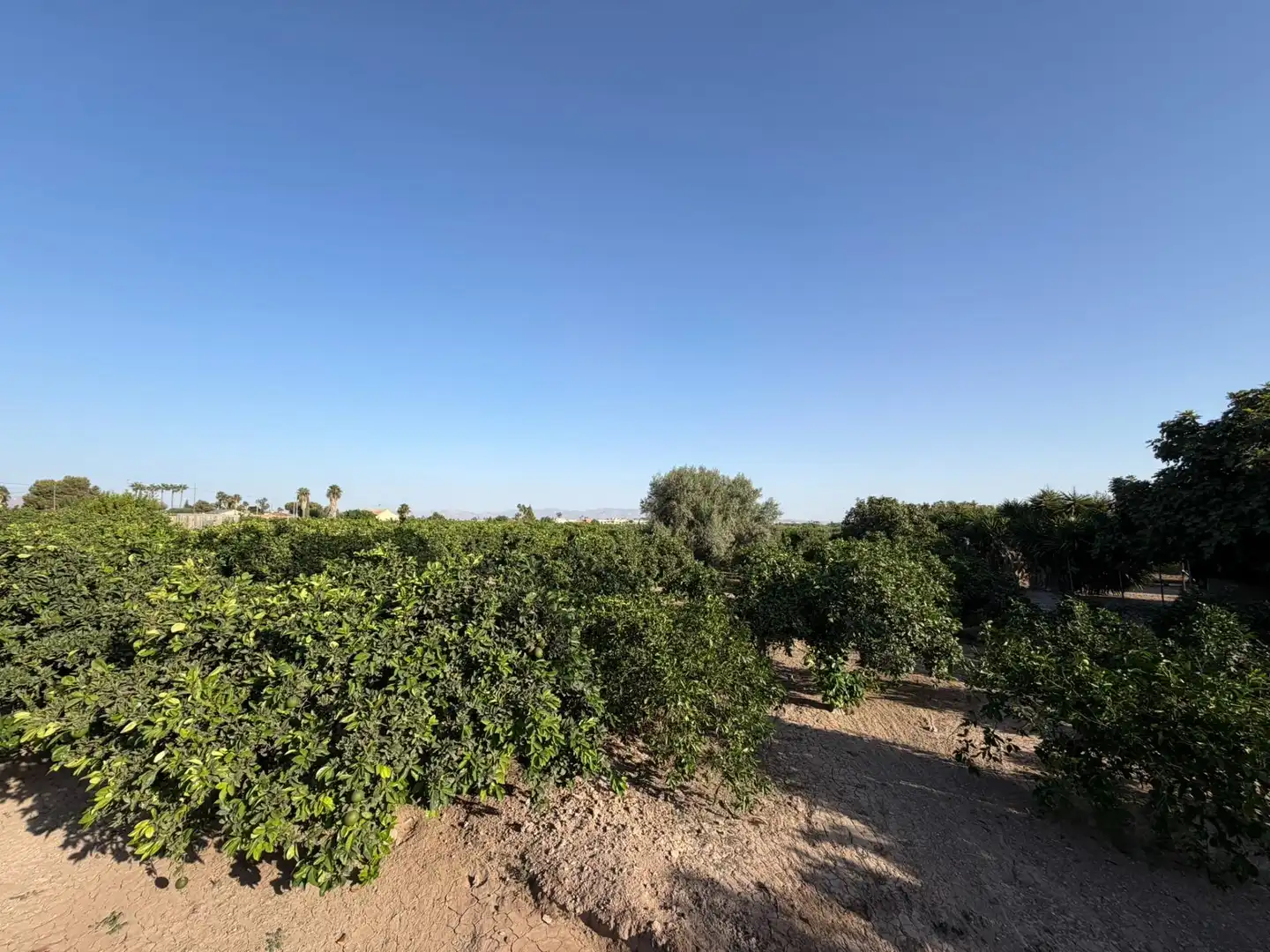Casa en venta en Daya Vieja, imagen 19