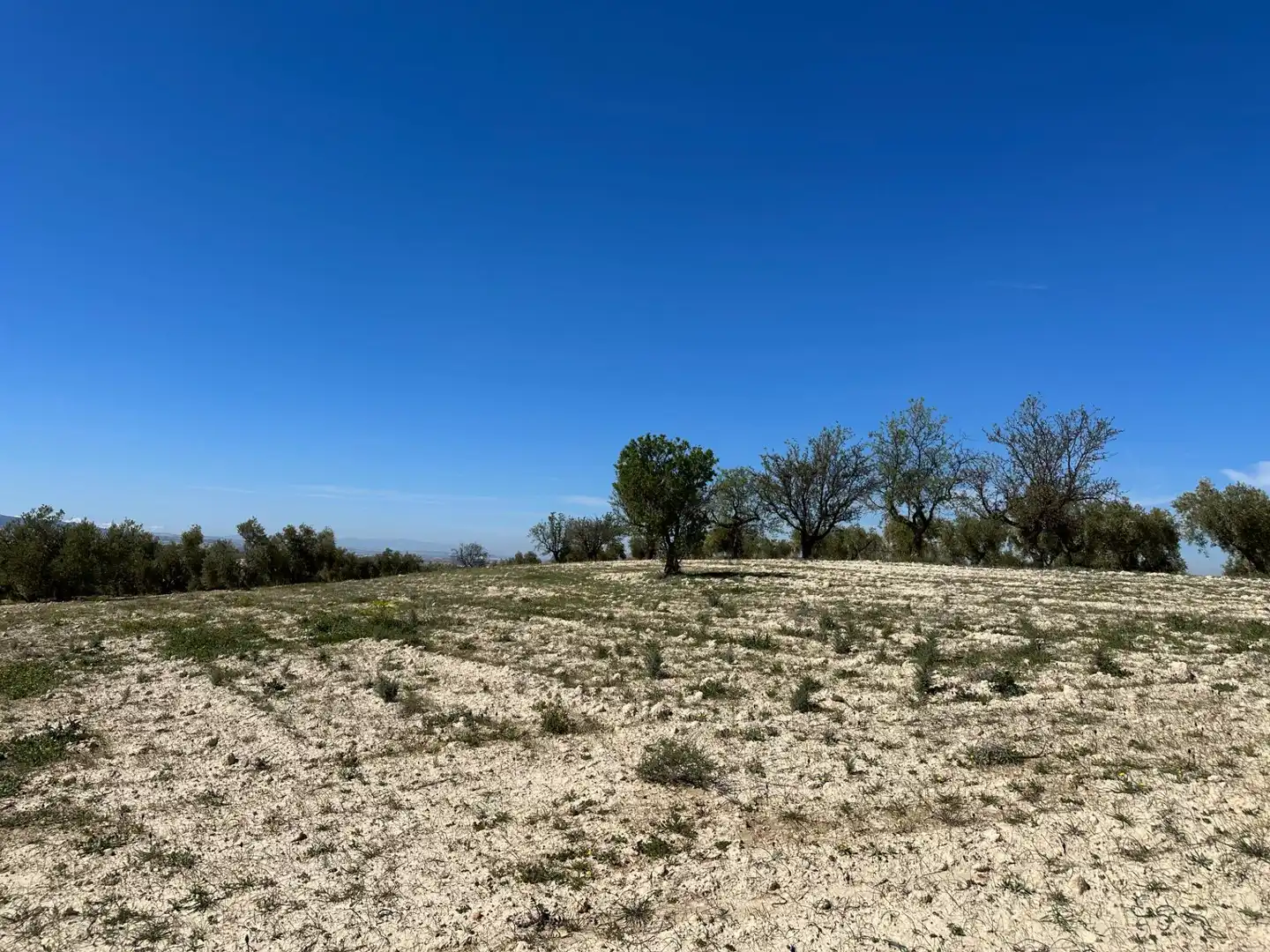 Terreno rustico in vendita a Dílar, imagen 34
