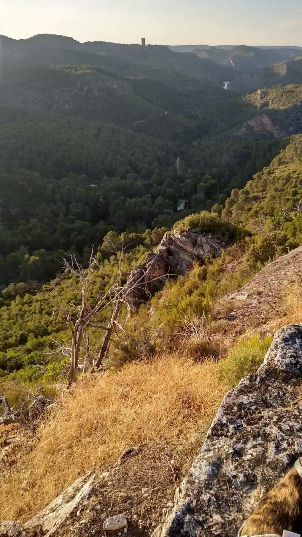 Lands and plots for sale in Albalate de Zorita, imagen 7