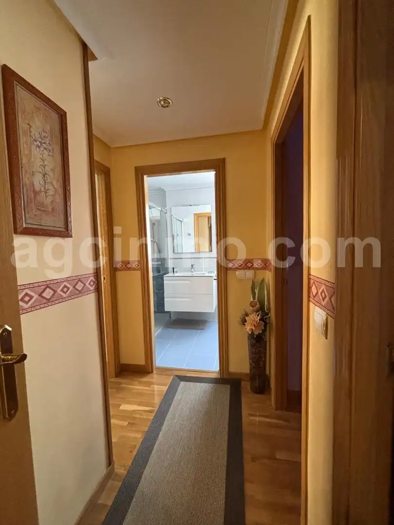 Piso de alquiler en Calle Ribera de Carrión, Parque Alameda - Paula López