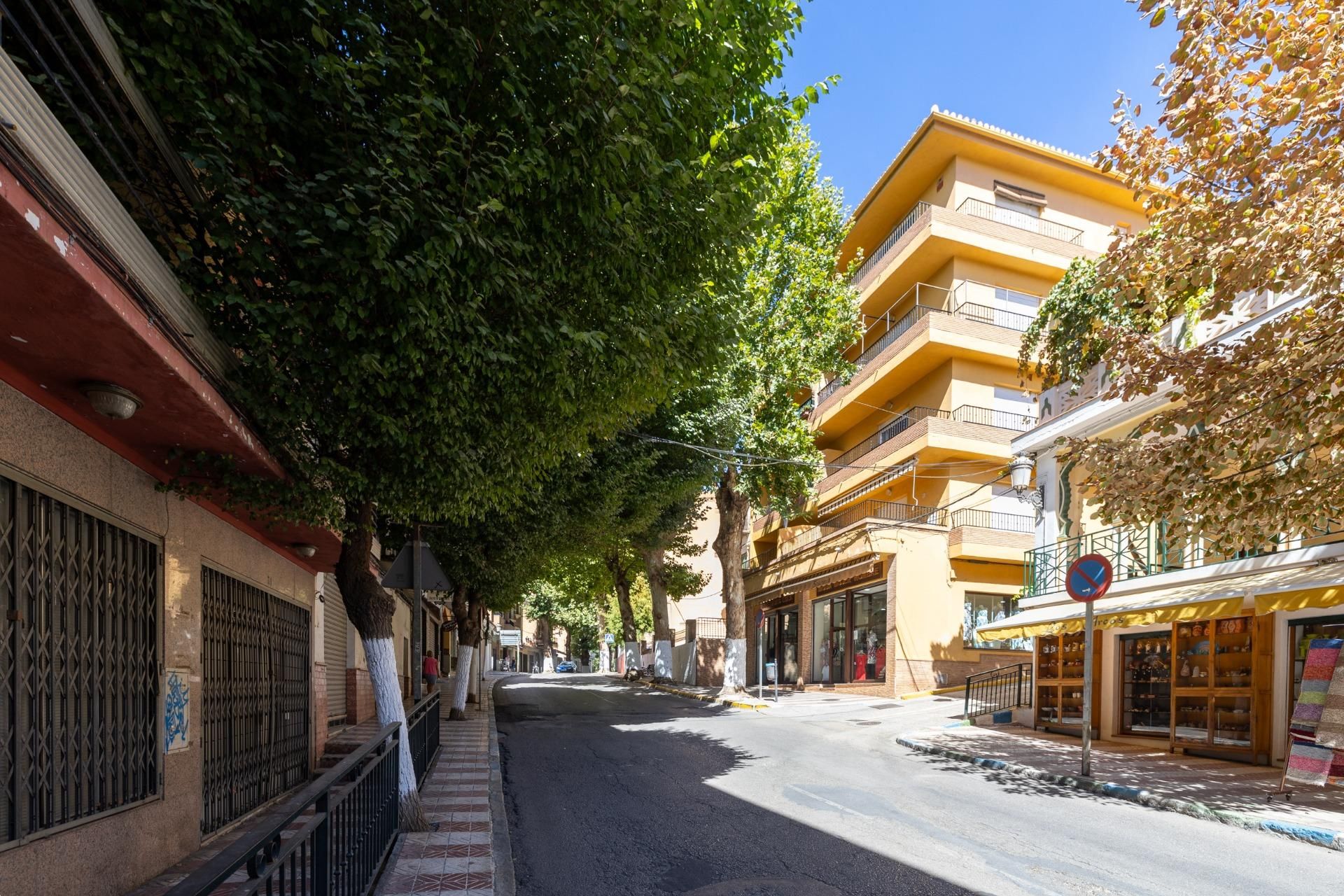 Vista exterior de Apartamento en venta en Lanjarón