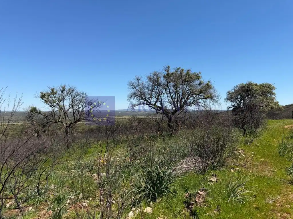 Finca rústica en venta en Aliseda con Terraza