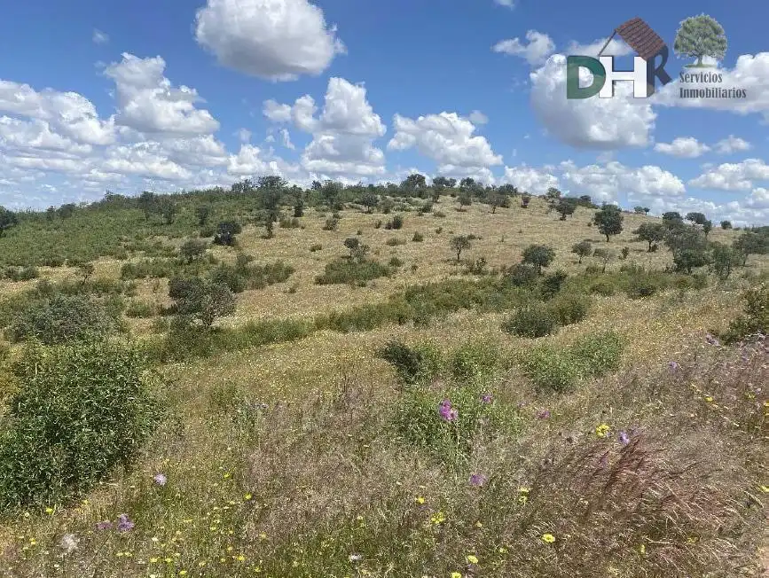 Terreni e lotti in vendita a El Carmen - Cardeñas, imagen 4