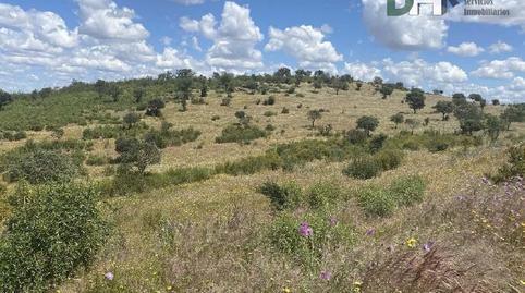 Photo 4 of Residential for sale in El Carmen - Cardeñas,  Huelva Capital