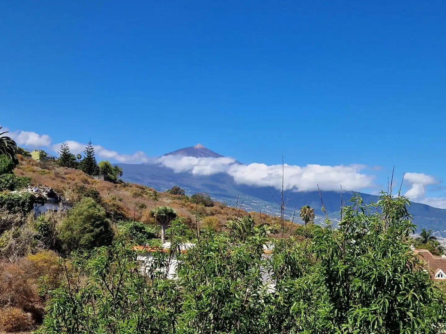Vista exterior de Casa o chalet en venta en Santa Úrsula con Jardín privado, Terraza y Trastero
