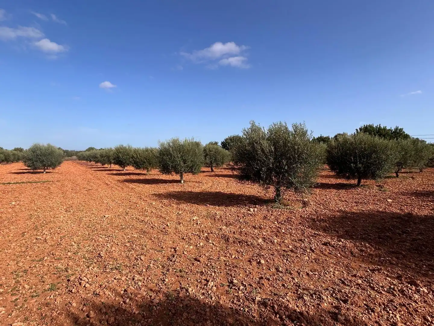 Country homes for sale in Felanitx Poble
