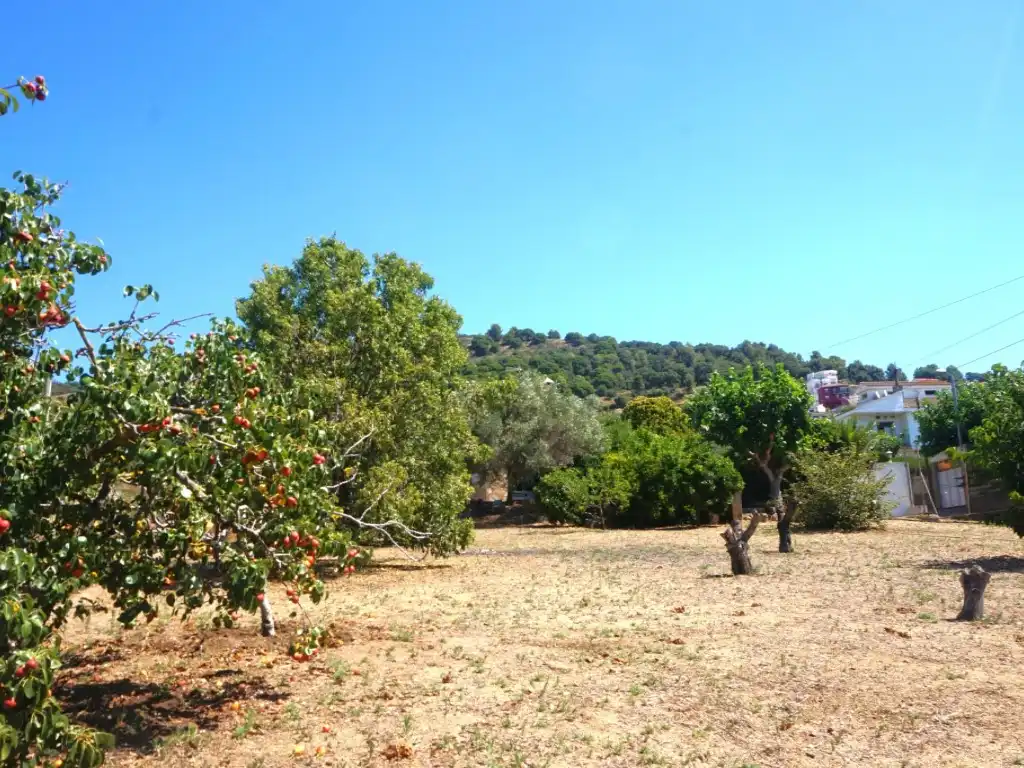 Houses for sale in Pineda de Mar