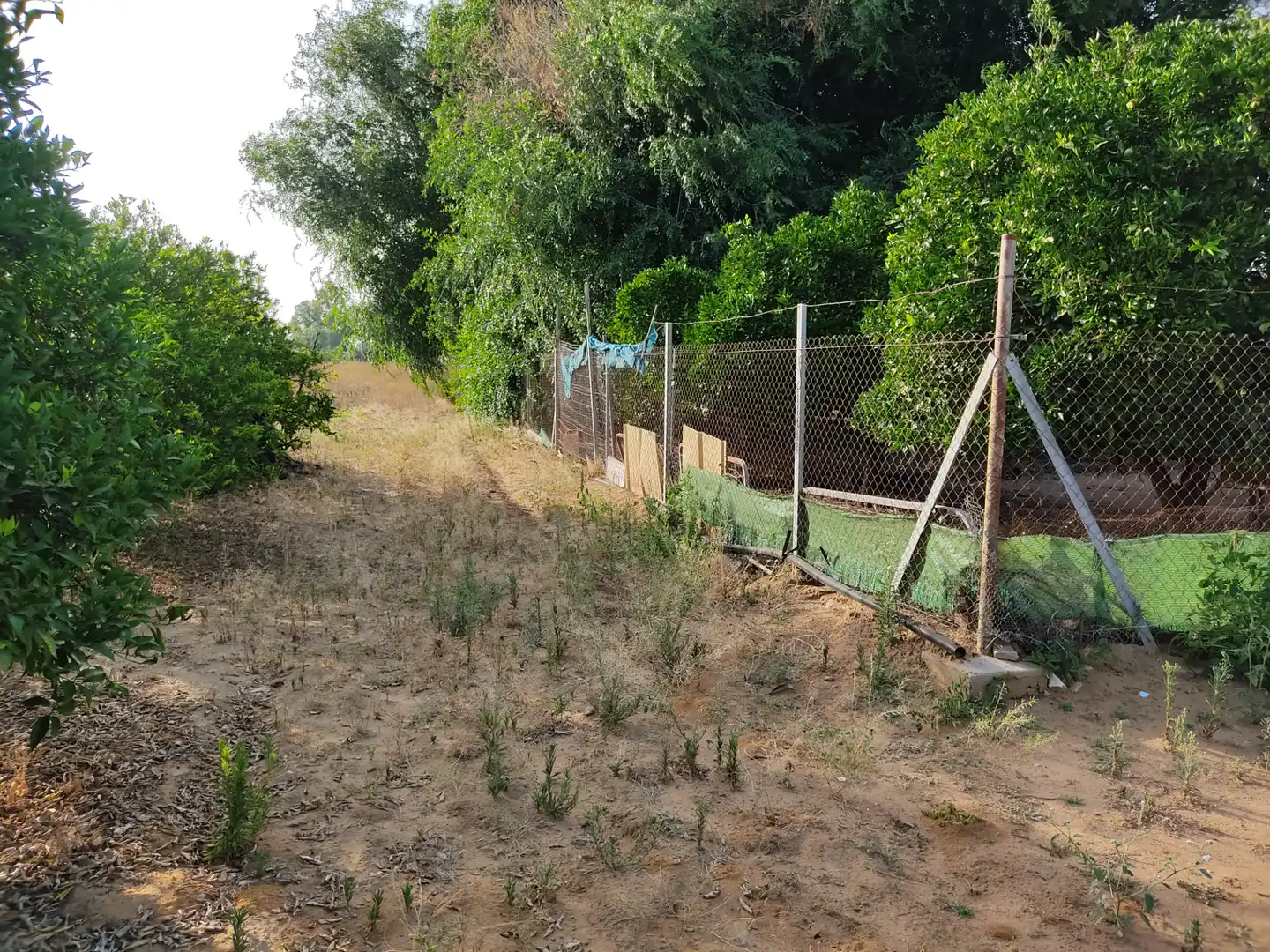 Terreni e lotti in vendita a Pedanías Norte, imagen 17