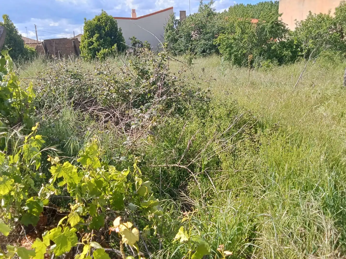 Detached homes for sale in Zamora Capital 