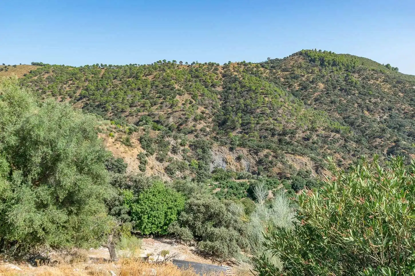 Terreno rustico in vendita a Salares, imagen 9