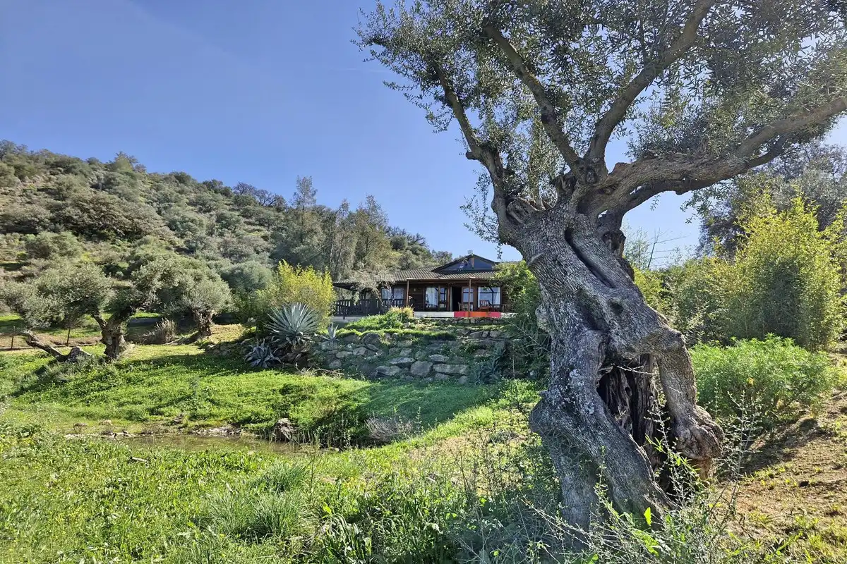 Casa rústica amb jardí en venda a Coín, imagen 45