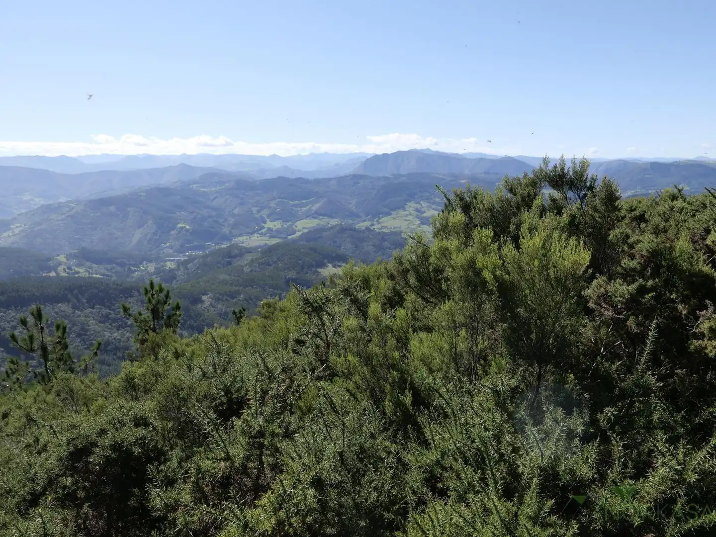 Finca rústica en venta en Pravia