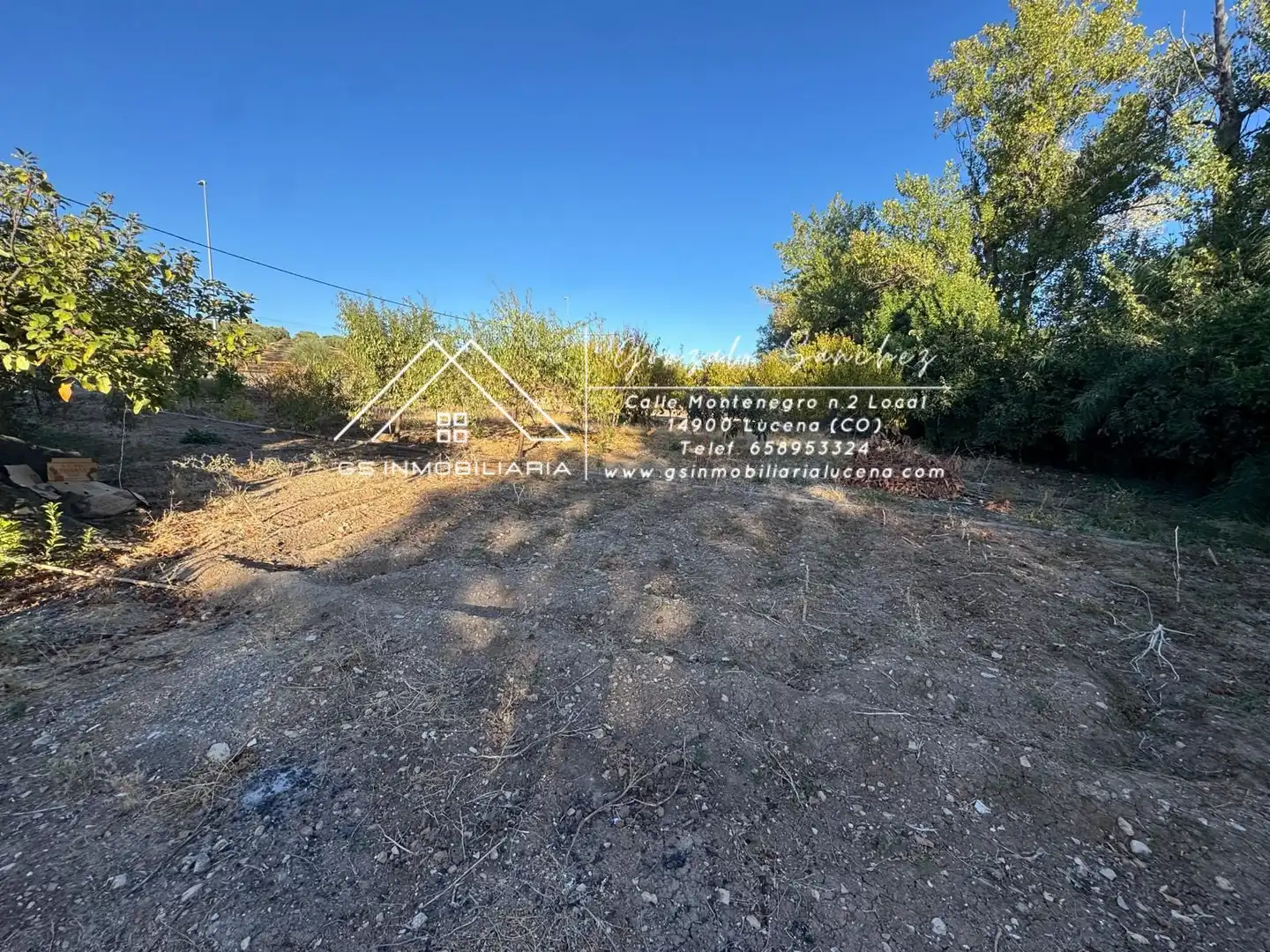 Casa rústica en venta en Cabra, imagen 6