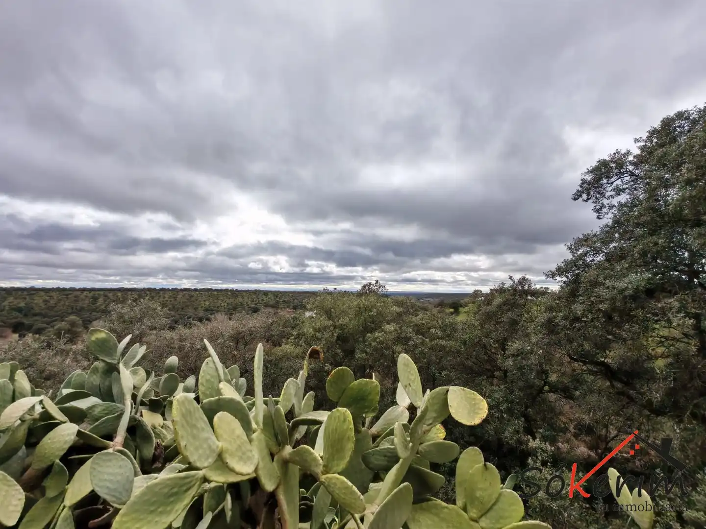 Jardín de Piso en venta en San Román de los Montes con Calefacción, Jardín privado y Terraza