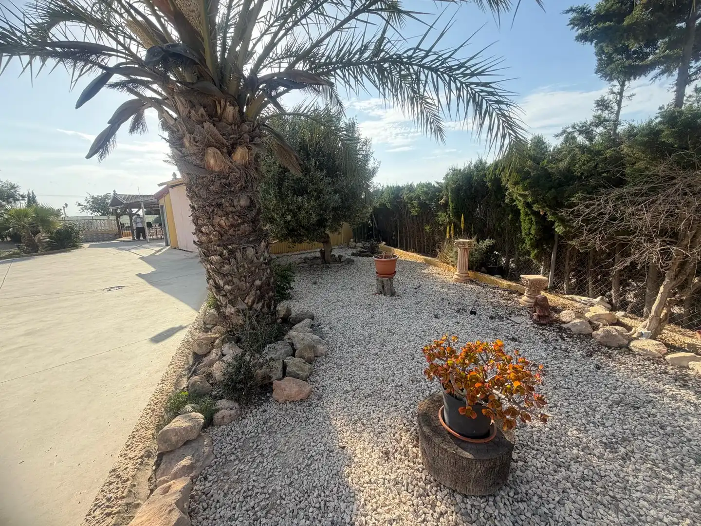 Jardí de Casa o xalet en venda en Elche / Elx amb Aire condicionat, Jardí privat i Terrassa
