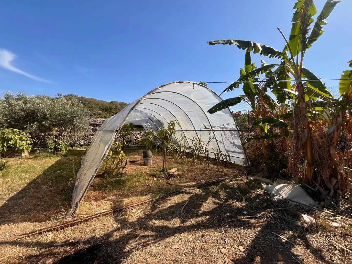 Garten von Residential zum Verkauf in Es Castell