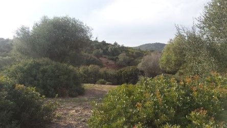Land for sale in  Cádiz Capital