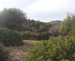 Terreny en venda en  Cádiz Capital