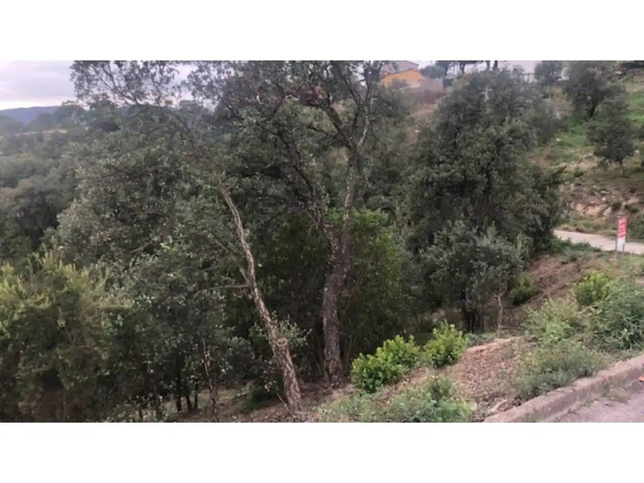 Terreno rústico en venta en ESPIGOL, imagen 9