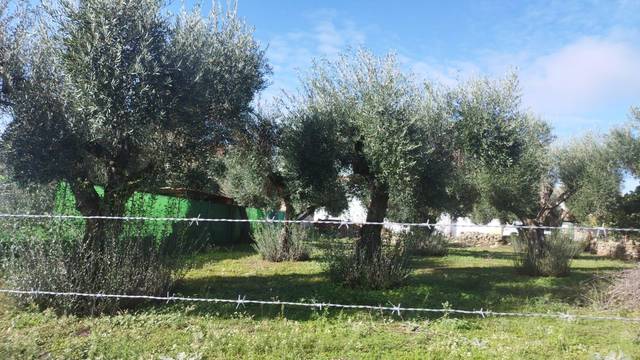 Terreno residencial en Venta en Aldea del Cano