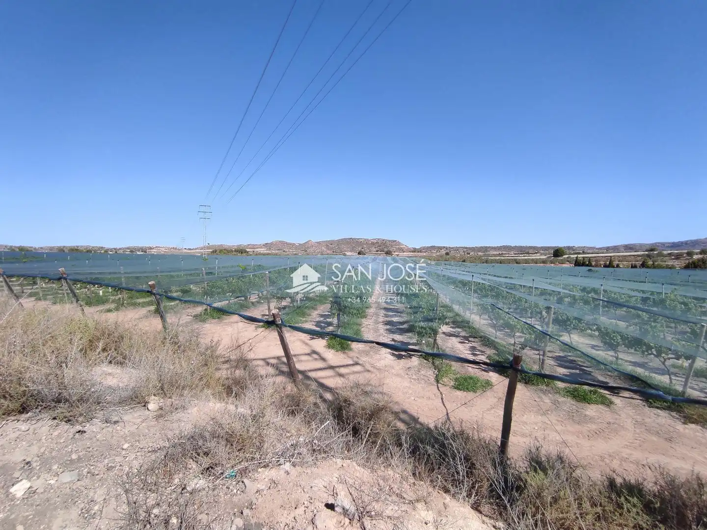 Terreno residencial en venta en Monforte del Cid, imagen 8