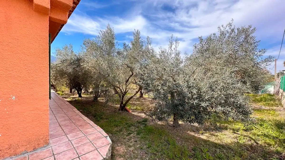 Jardín de Casa o chalet en venta en Benicolet