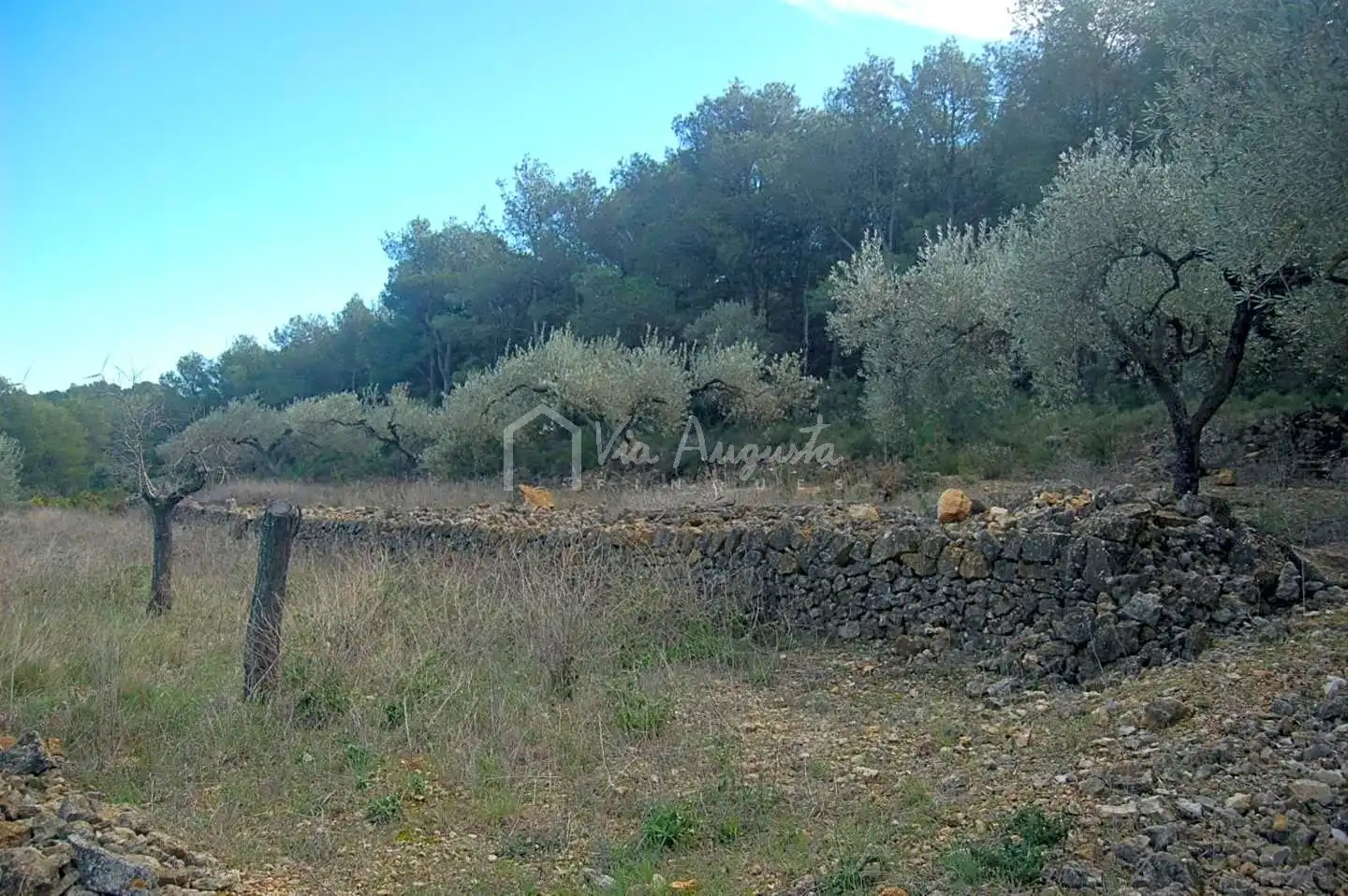 Terreno rustico in vendita a Burgar, imagen 13