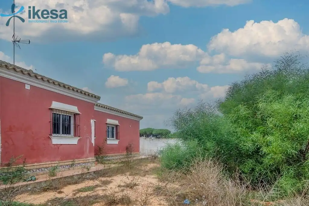 Vista exterior de Casa o chalet en venta en Chiclana de la Frontera con Jardín privado y Piscina comunitaria