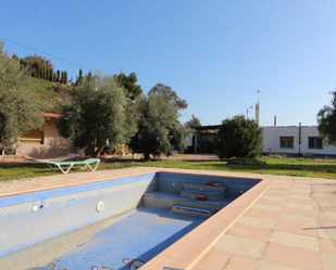 Swimming pool of Country house for sale in Aspe  with Storage room and Swimming Pool