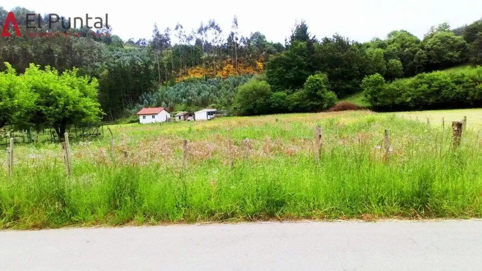 Rural land for sale in Ampuero, imagen 2