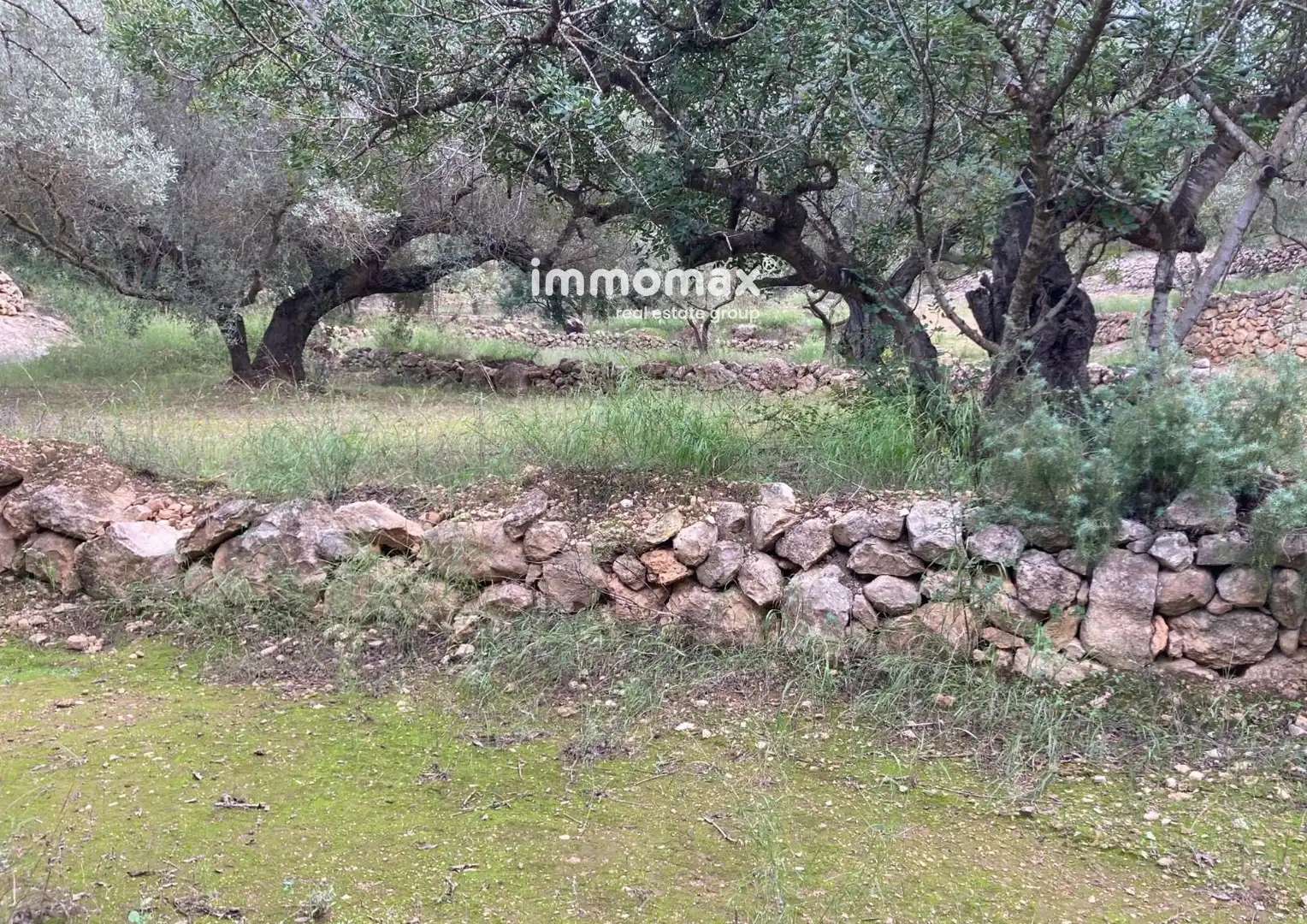 Terrain rustique à vendre à Bítem, imagen 17