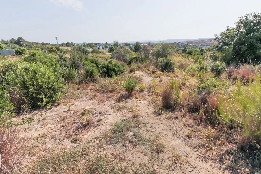 Rural land for sale in C/ Manuel de Pedrolo, imagen 18