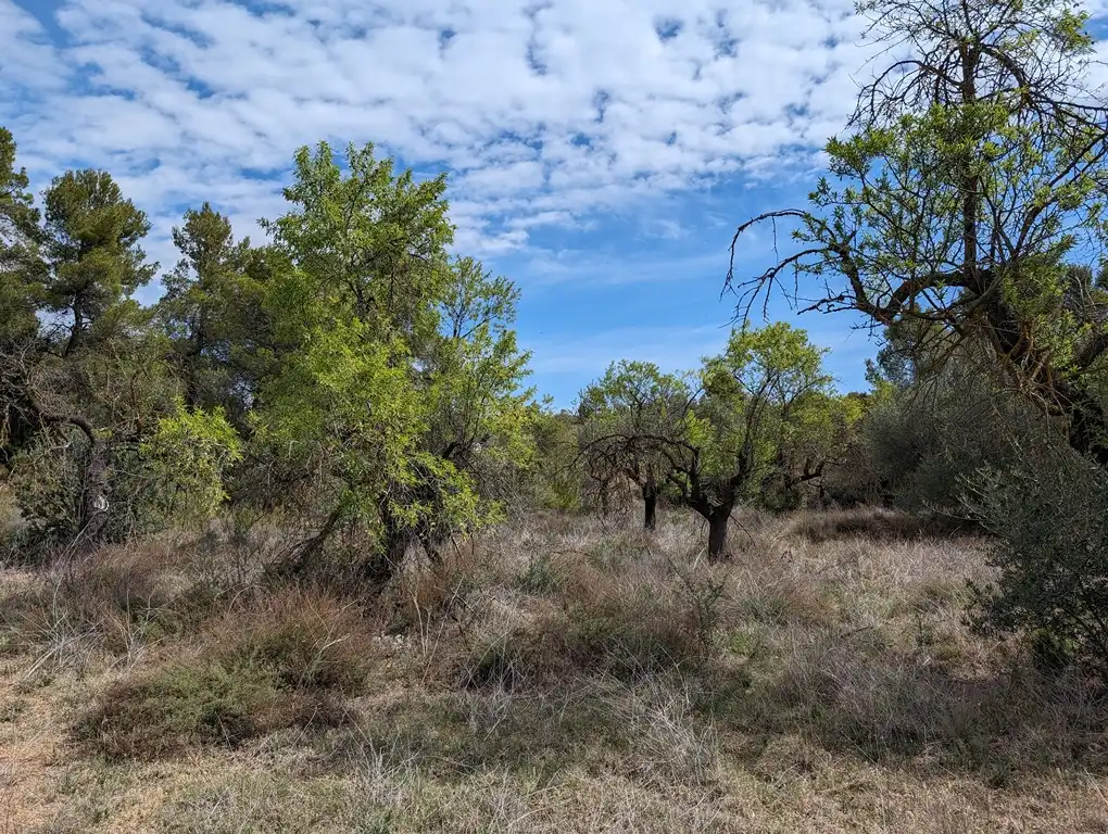 Terreni e lotti in vendita a Valderrobres, imagen 10
