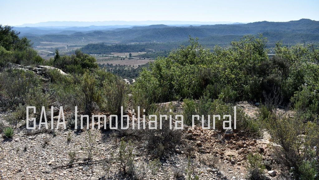 Land for sale in Maella