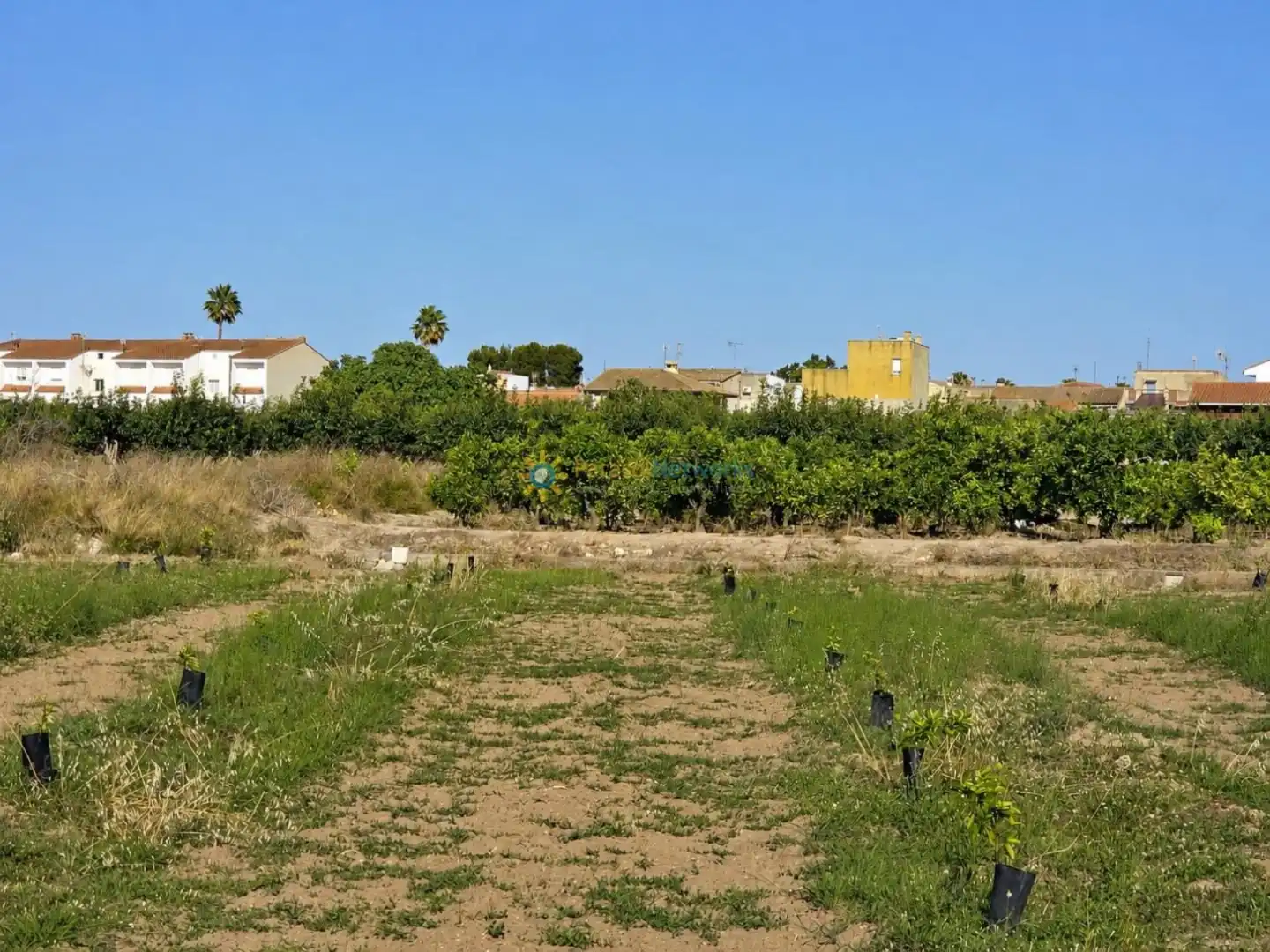Finca rústica en venda en Cotes amb Jardí privat, Terrassa i Piscina