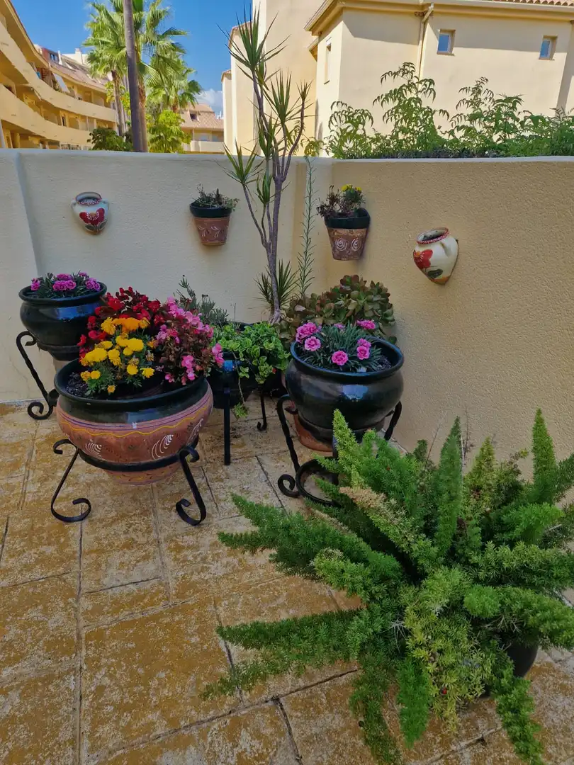 Appartement compact avec piscine à vendre à La Duquesa, imagen 33