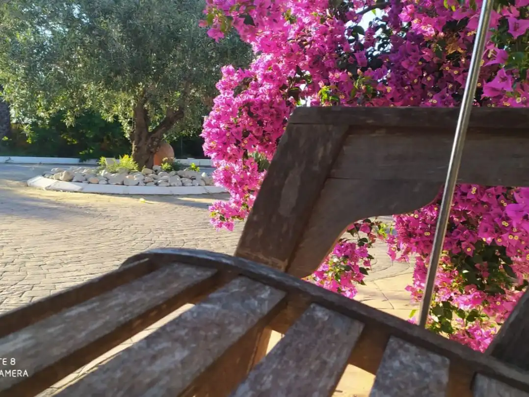 Maison rustique avec jardin à vendre à Carrer Major 1, imagen 19