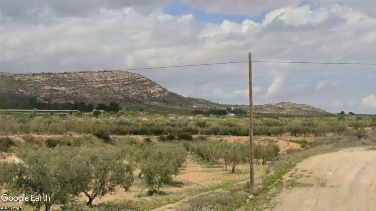 Lands and plots for sale in Mula, imagen 3