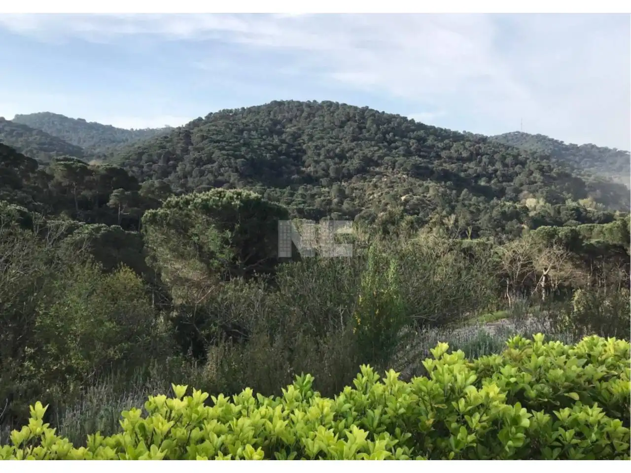 Rural land for sale in Vilanova del Vallès, imagen 8