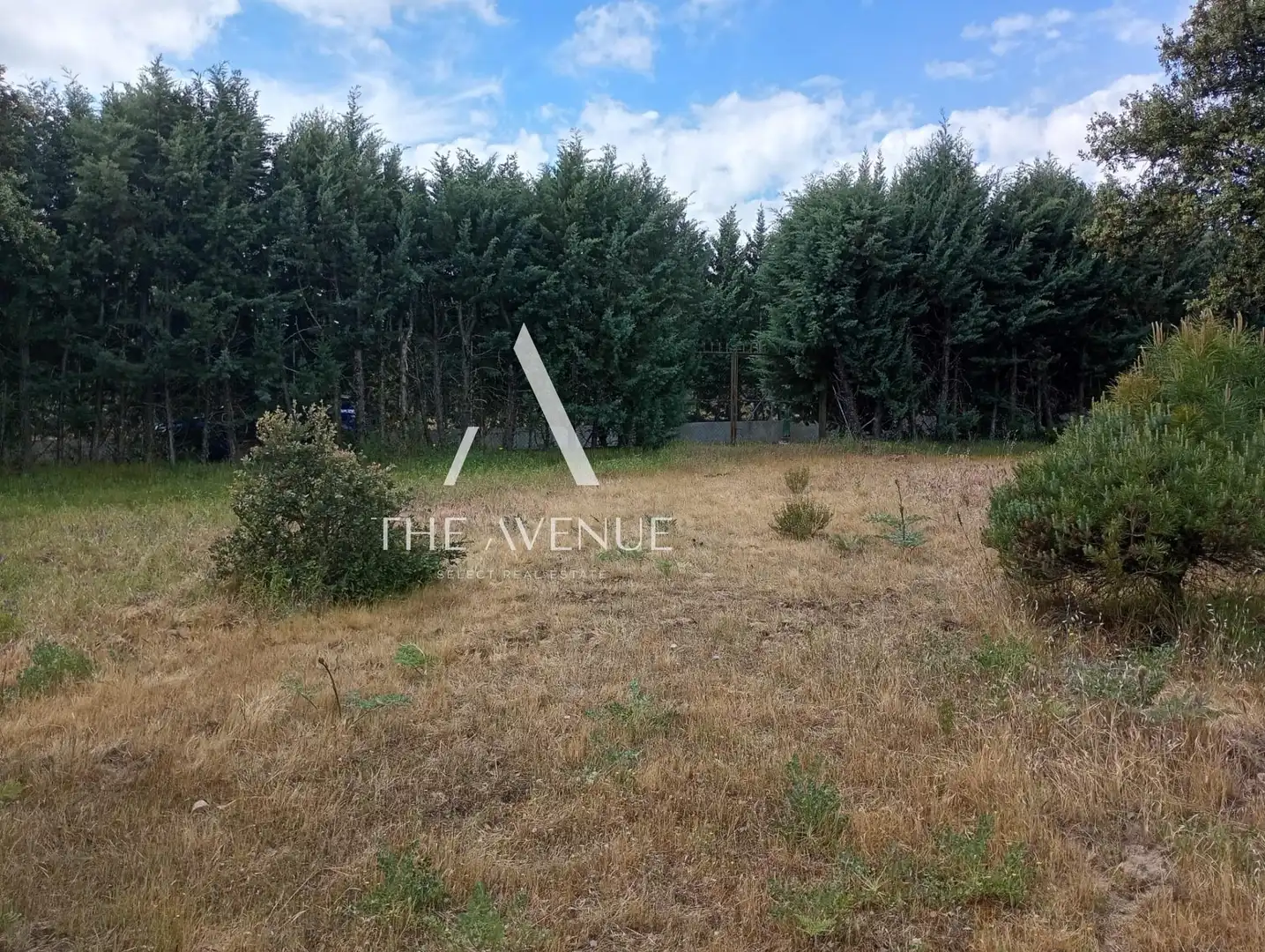 Terreno residencial en venta en Calle Enebros, imagen 5