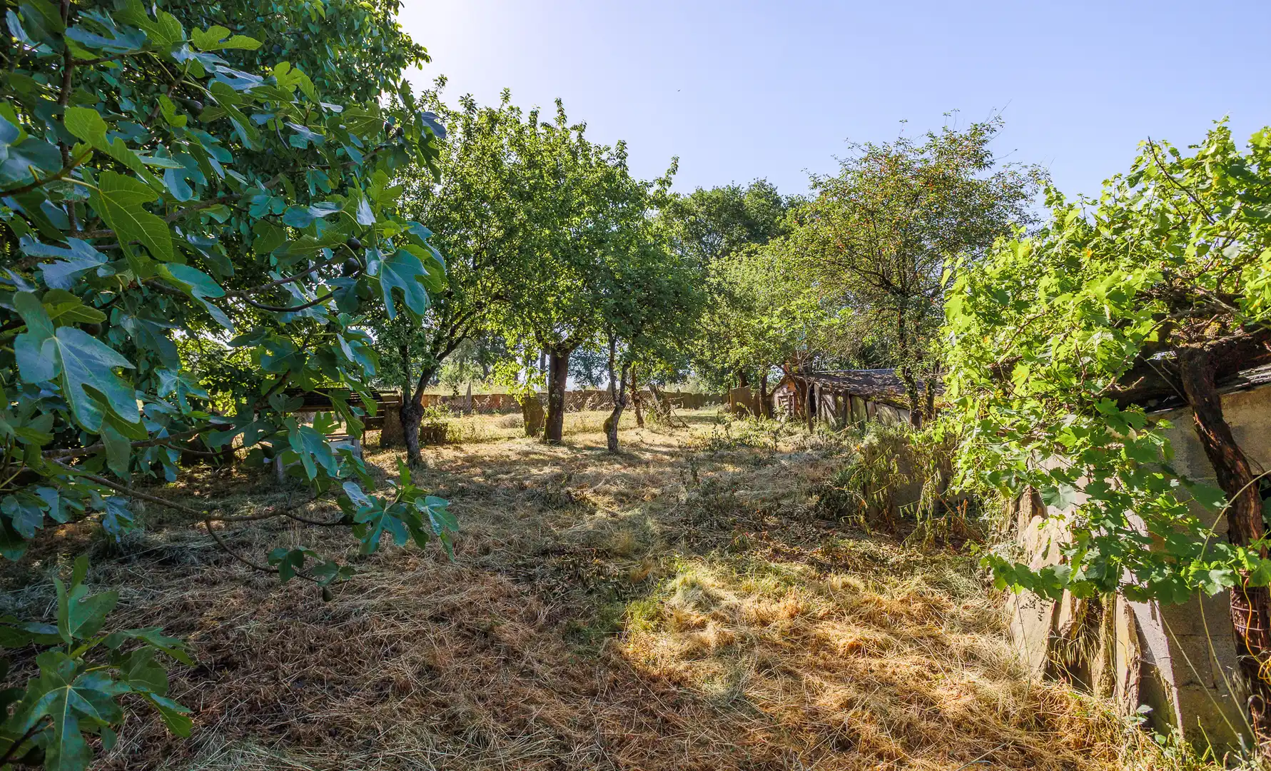 Finca rústica en venta en O Incio  con Amueblado