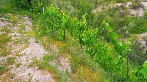 Foto 5 de Finca rústica en venta en Órgiva, Granada