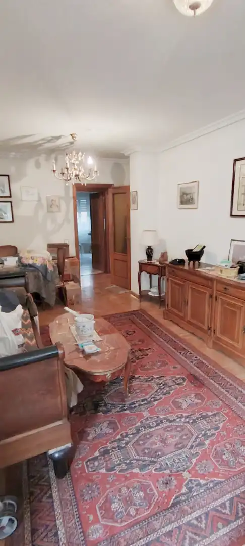 Sala d'estar de Pis en venda en Salamanca amb Calefacció, Parquet i Terrassa