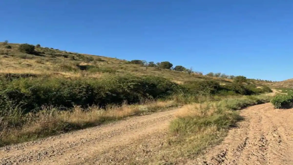 Residencial en venta en Alcanadre